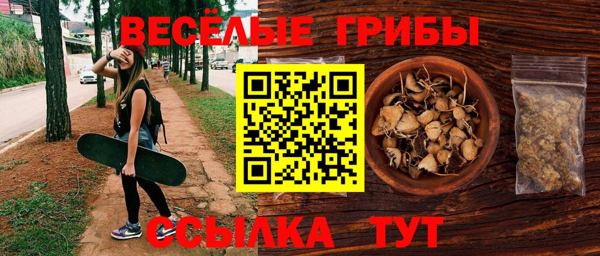 Георгиевск  Галлюциногенные грибы Magic Shrooms  Вход с VPN 