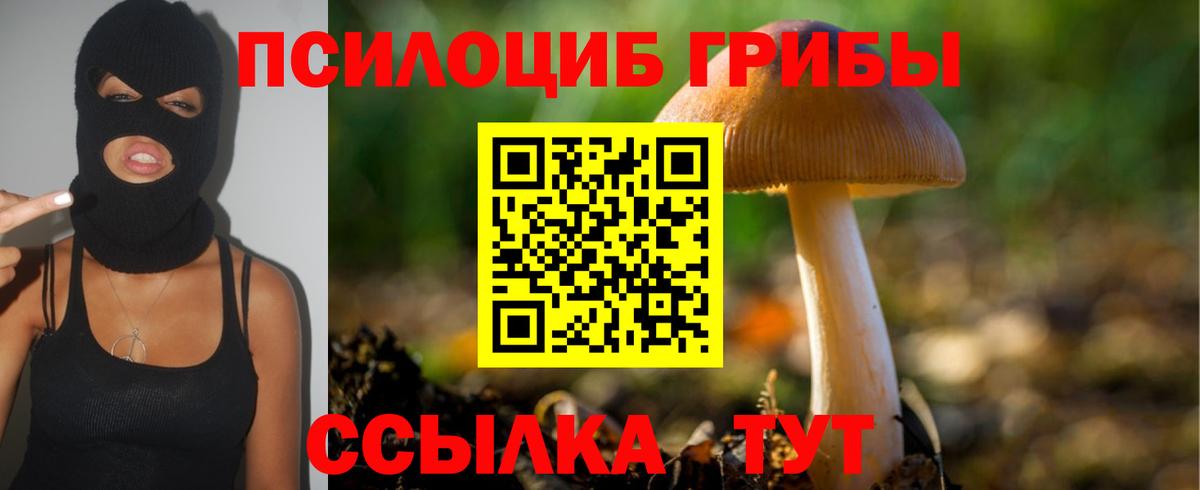 Галлюциногенные грибы Psilocybine cubensis Георгиевск